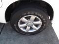 Blizzard White - Titan SE Crew Cab Photo No. 16