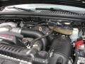 6.0 Liter Turbo Diesel OHV 32 Valve Power Stroke V8 2006 Ford F350 Super Duty Lariat SuperCab 4x4 Engine