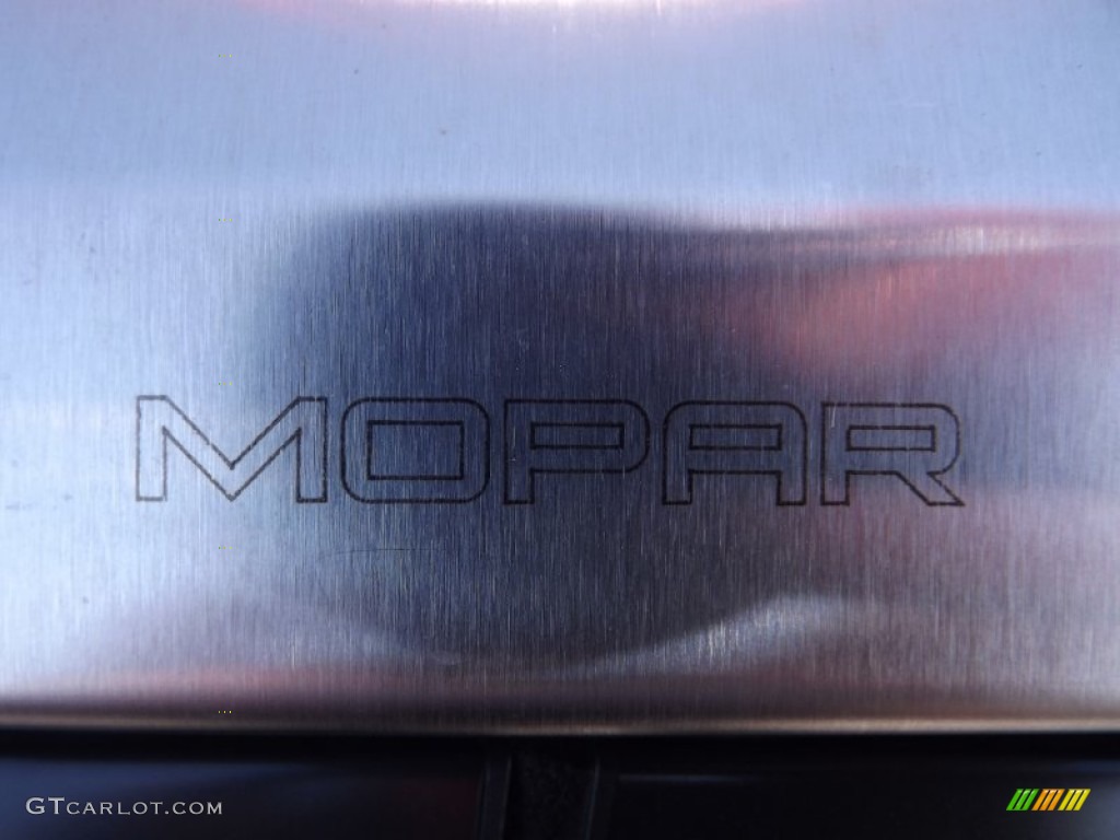 2011 Dodge Charger Police Marks and Logos Photos