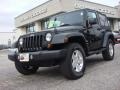 Black - Wrangler Sport 4x4 Photo No. 1