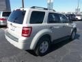 2008 Light Sage Metallic Ford Escape XLT  photo #3