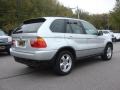 2002 Titanium Silver Metallic BMW X5 4.4i  photo #5