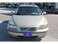 Ash Gold Metallic - V70 2.4 Photo No. 3