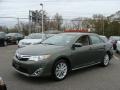 Cypress Green Pearl - Camry XLE Photo No. 3