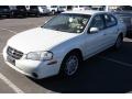 Icelandic White Pearl - Maxima GXE Photo No. 4