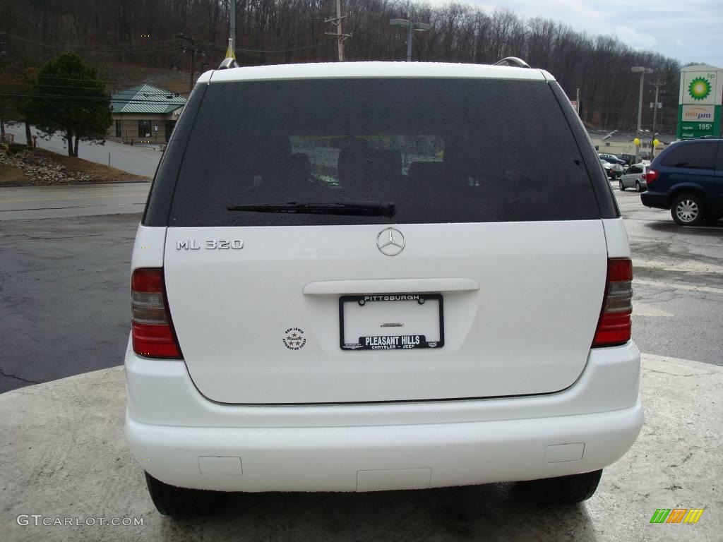 1999 ML 320 4Matic - Polar White / Grey photo #3