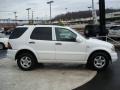Polar White - ML 320 4Matic Photo No. 5