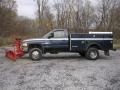 Patriot Blue Metallic - Ram 3500 SLT Regular Cab 4x4 Dually Plow Truck Photo No. 3