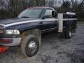 Patriot Blue Metallic - Ram 3500 SLT Regular Cab 4x4 Dually Plow Truck Photo No. 36