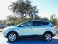 2013 Frosted Glass Metallic Ford Escape SE 1.6L EcoBoost  photo #2