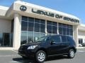 Black - ML 350 4Matic Photo No. 1