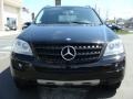 Black - ML 350 4Matic Photo No. 2