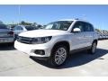 Candy White - Tiguan SE Photo No. 1