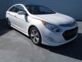 Porcelain White Pearl - Sonata Hybrid Photo No. 1