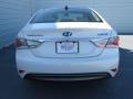Porcelain White Pearl - Sonata Hybrid Photo No. 4