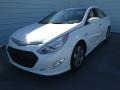 Porcelain White Pearl - Sonata Hybrid Photo No. 6