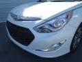 Porcelain White Pearl - Sonata Hybrid Photo No. 9