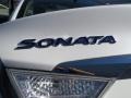 Porcelain White Pearl - Sonata Hybrid Photo No. 14