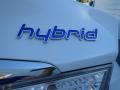 Porcelain White Pearl - Sonata Hybrid Photo No. 15