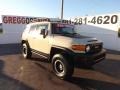 Sandstorm 2010 Toyota FJ Cruiser 4WD