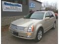 Light Platinum - SRX 4 V6 AWD Photo No. 1