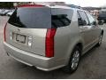 Light Platinum - SRX 4 V6 AWD Photo No. 12