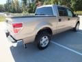 2013 Pale Adobe Metallic Ford F150 XLT SuperCrew  photo #5