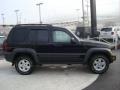 Black Clearcoat - Liberty Sport 4x4 Photo No. 5