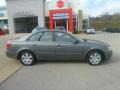 Willow Gray - Sonata GLS Photo No. 2