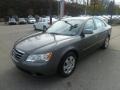 Willow Gray - Sonata GLS Photo No. 7