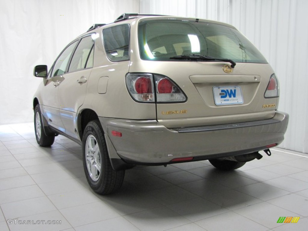 2003 RX 300 AWD - Burnished Gold Metallic / Ivory photo #2