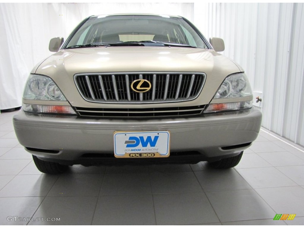 2003 RX 300 AWD - Burnished Gold Metallic / Ivory photo #3