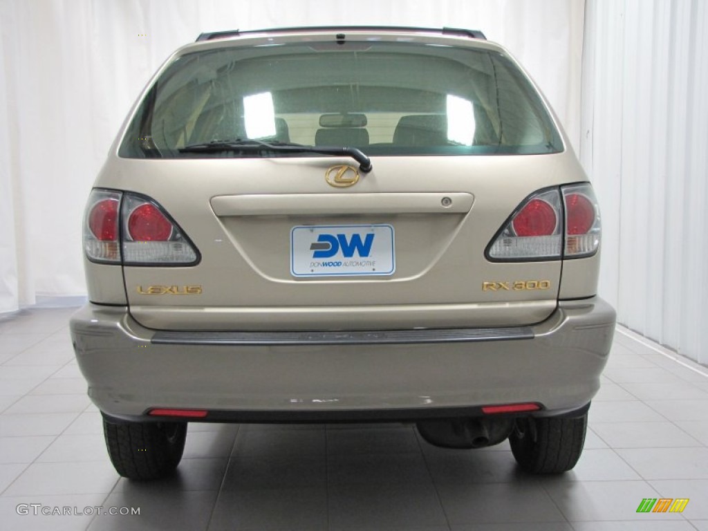 2003 RX 300 AWD - Burnished Gold Metallic / Ivory photo #4