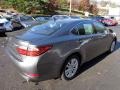 2013 Nebula Gray Pearl Lexus ES 350  photo #4