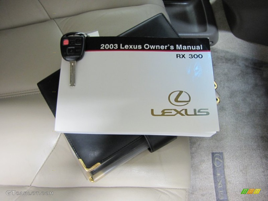2003 RX 300 AWD - Burnished Gold Metallic / Ivory photo #31