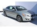 Electric Silver Metallic - C70 T5 Photo No. 2