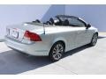 Electric Silver Metallic - C70 T5 Photo No. 10