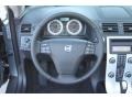 Electric Silver Metallic - C70 T5 Photo No. 19