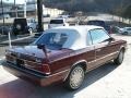 Dark Cordovan Pearl Metallic - 600 Convertible Photo No. 4