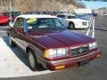 Dark Cordovan Pearl Metallic - 600 Convertible Photo No. 6