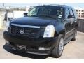 Black Raven - Escalade  Photo No. 3