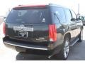 Black Raven - Escalade  Photo No. 5