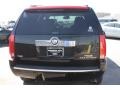 Black Raven - Escalade  Photo No. 6