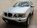 Titanium Silver Metallic - X5 3.0i Photo No. 4