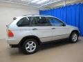Titanium Silver Metallic - X5 3.0i Photo No. 10