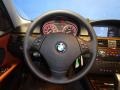 Chestnut Brown Dakota Leather Steering Wheel Photo for 2009 BMW 3 Series #73345431