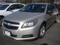 Champagne Silver Metallic - Malibu LS Photo No. 1