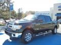 2013 Green Gem Metallic Ford F150 XLT SuperCrew 4x4  photo #1