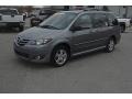 Titanium Gray Metallic - MPV LX Photo No. 1
