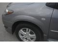Titanium Gray Metallic - MPV LX Photo No. 9
